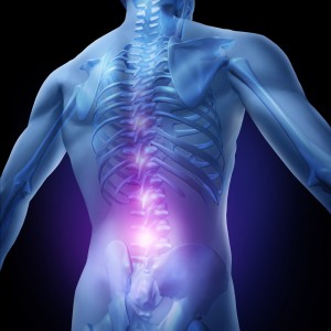 physio-2